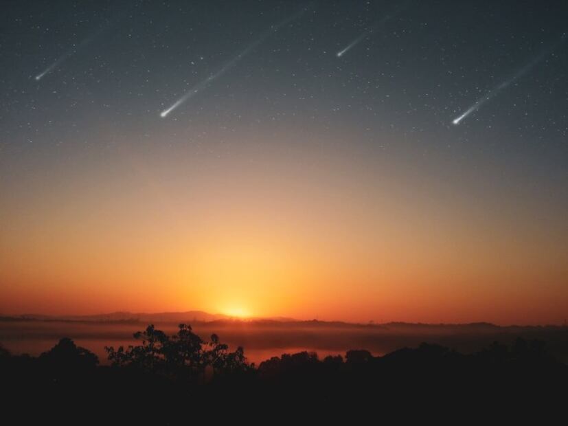 ¿Cuándo y dónde ver las lluvias de estrellas de julio y agosto 2021?