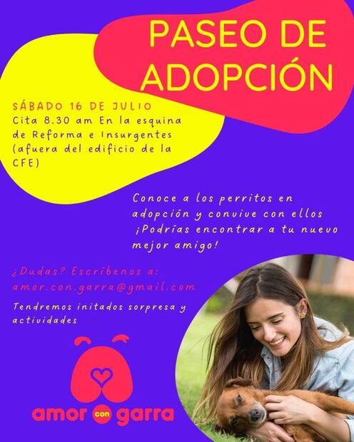 Primer paseo de adopción de perritos de Amor con Garra en la CDMX