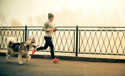 5 beneficios de hacer ejercicio con tu mascota