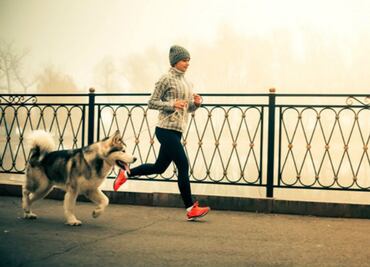 5 beneficios de hacer ejercicio con tu mascota