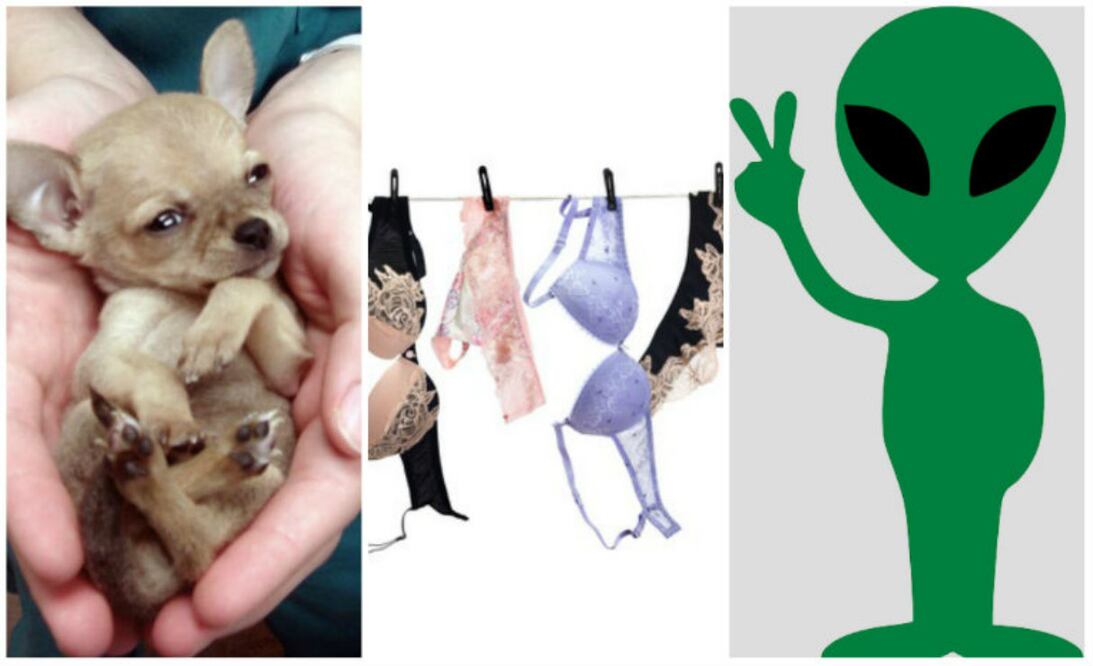 Fotos: Pinterest, iStock, Pixabay