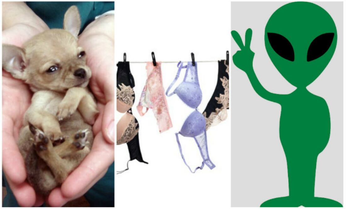 Fotos: Pinterest, iStock, Pixabay