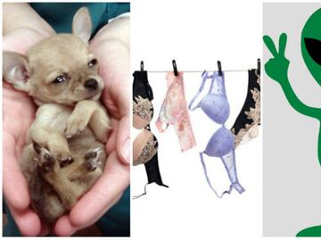 Los 10 objetos más insólitos olvidados en un Uber