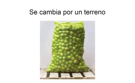 ¡A 70 el kilo de limón! Los 10 mejores memes del aumento de precio 