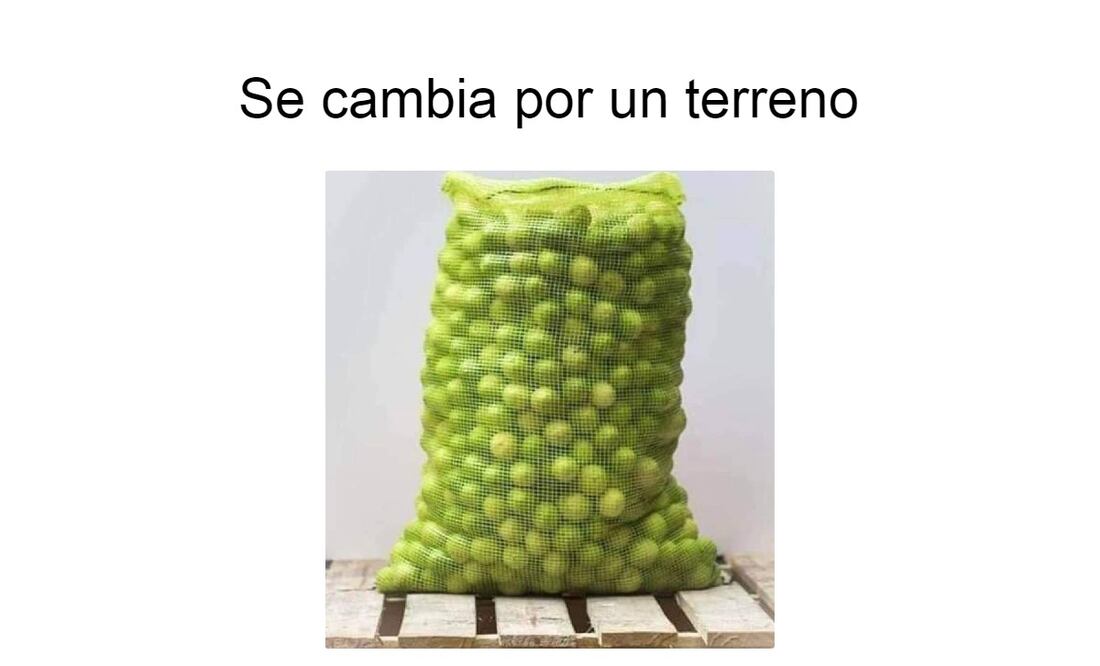 Foto: Redes Sociales