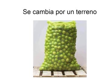 ¡A 70 el kilo de limón! Los 10 mejores memes del aumento de precio