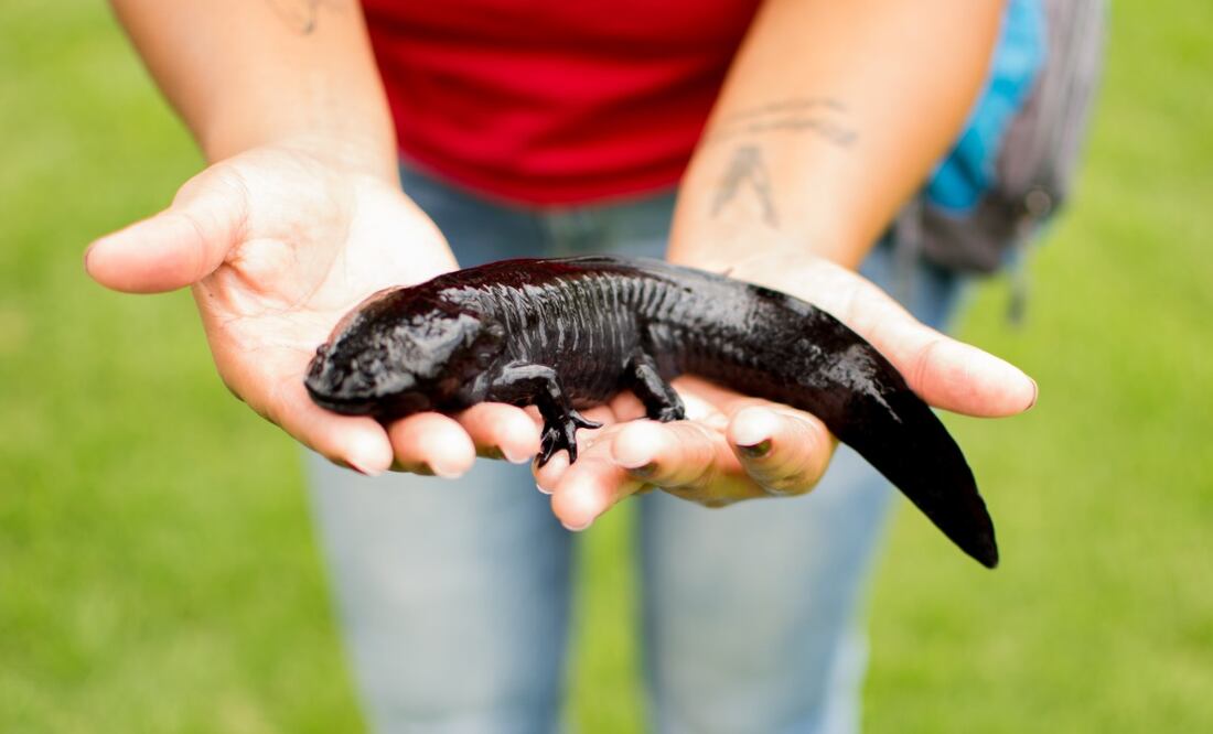 Foto: Iván Cruz / El Universal