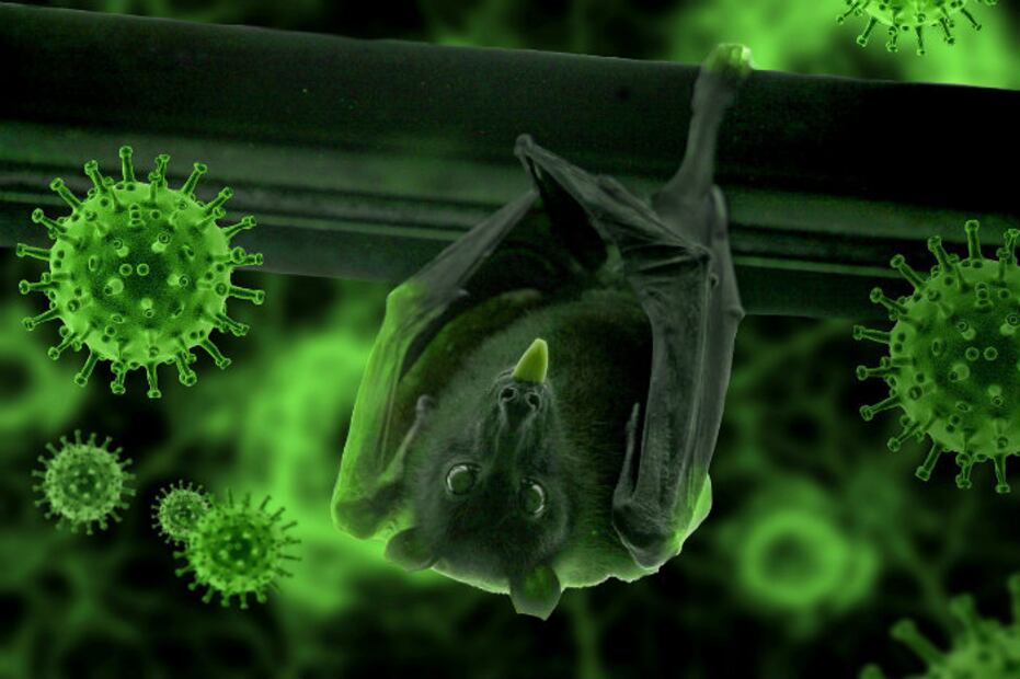 7 teorías de conspiración sobre el origen del coronavirus