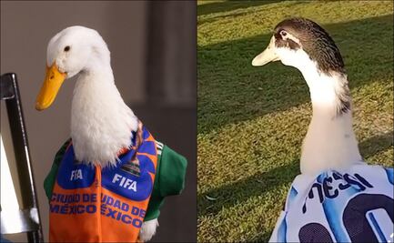 Nace en Argentina "El Pibito", la copia del Pato Merlín con camiseta de Messi