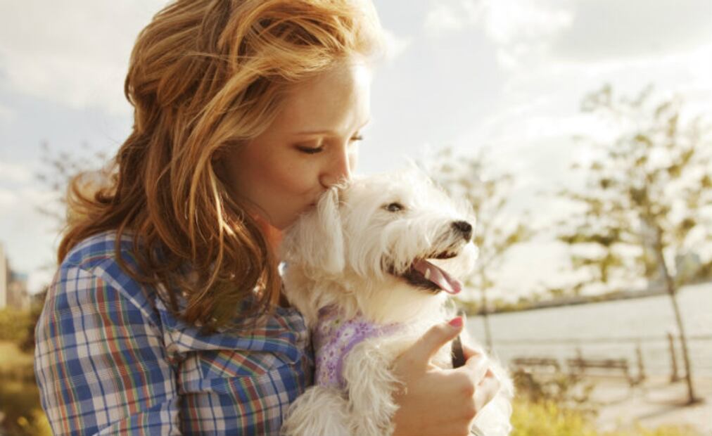 Cuida Mi Mascota, la app para dejar a tu amigo peludo en buenas manos 