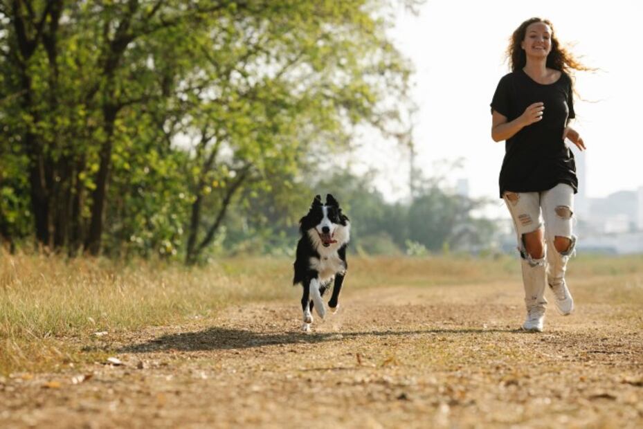 10 consejos para ejercitar a tu perro y a ti de paso