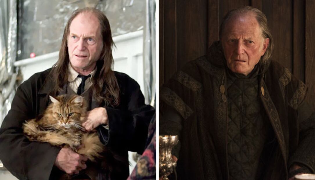 10 actores que “dobletearon” en Harry Potter y Game of Thrones