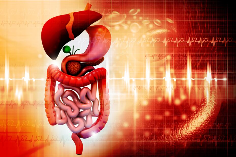 7 señales que te indican que debes ir al gastroenterólogo