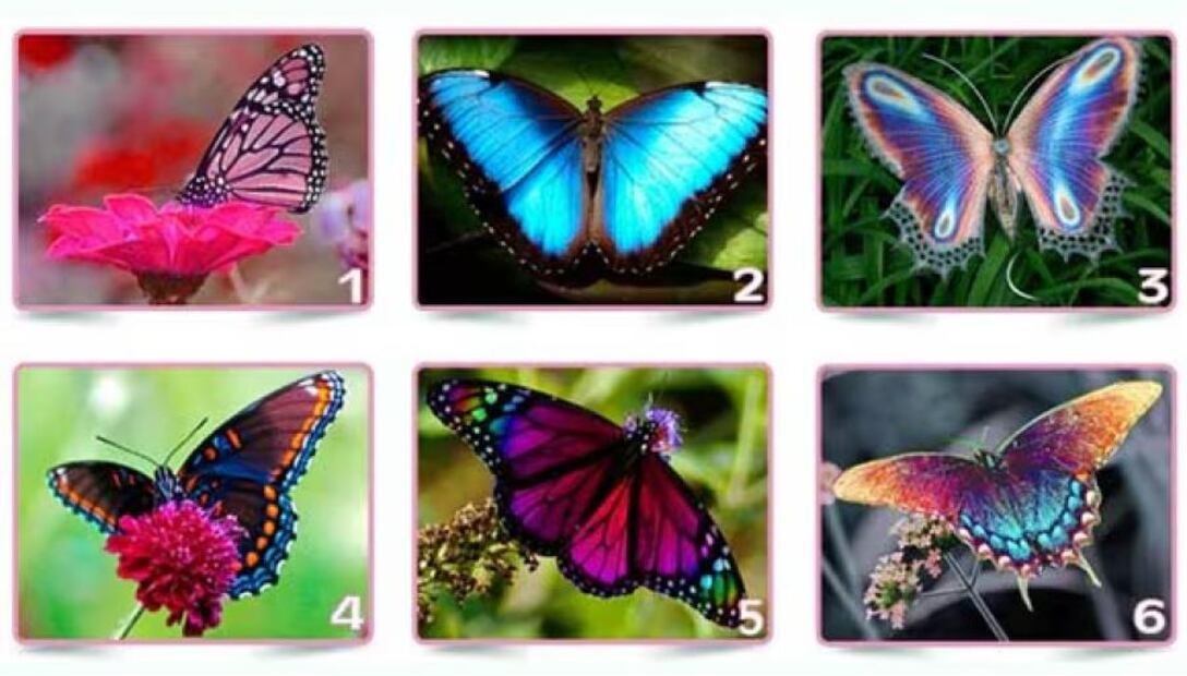 Aunque carecen de evidencia científica, este tipo de publicaciones se vuelven virales y se hacen virales en cuestión de minutos.

Foto Producción El Universal