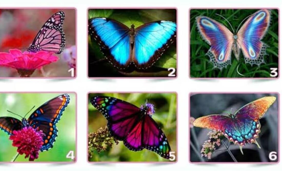 Aunque carecen de evidencia científica, este tipo de publicaciones se vuelven virales y se hacen virales en cuestión de minutos.
Foto Producción El Universal