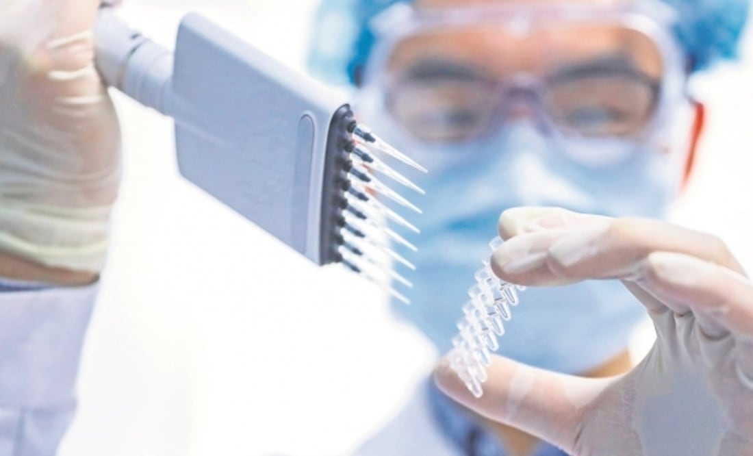 Foto: Zinhua Zhang Yuwei