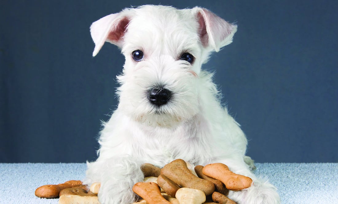 Foto: iStock