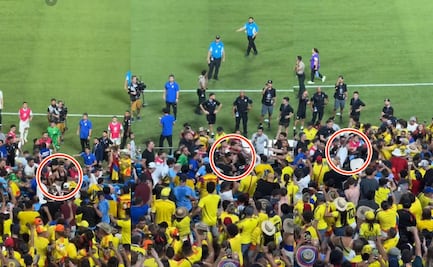 Uruguay: Jugadores perdieron la cabeza y armaron una bronca campal en la tribuna contra aficionados de Colombia