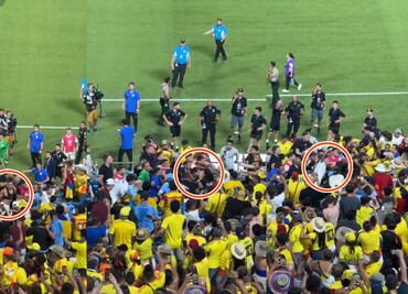 Uruguay: Jugadores perdieron la cabeza y armaron una bronca campal en la tribuna contra aficionados de Colombia