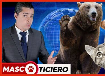 ¿Ya conoces a “El Mascoticiero, El Noticiero del Reino Animal”?