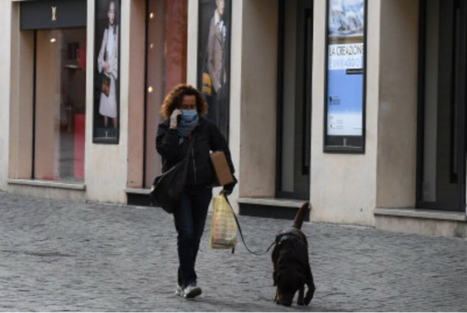 ¿Cómo cuidar a tu perro durante la cuarentena?