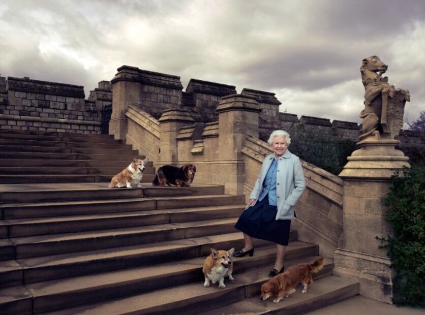 El lujoso perfume para perros que creó la reina Isabel II