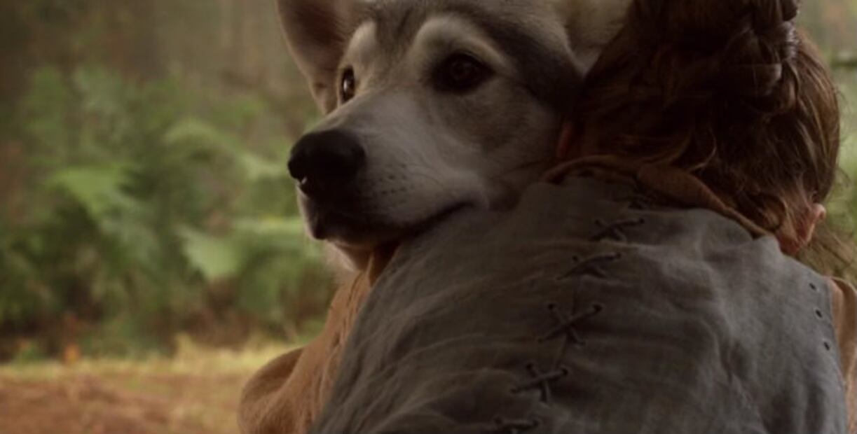¿Qué pasó con los fieles lobos de los Stark en “Game of Thrones”?