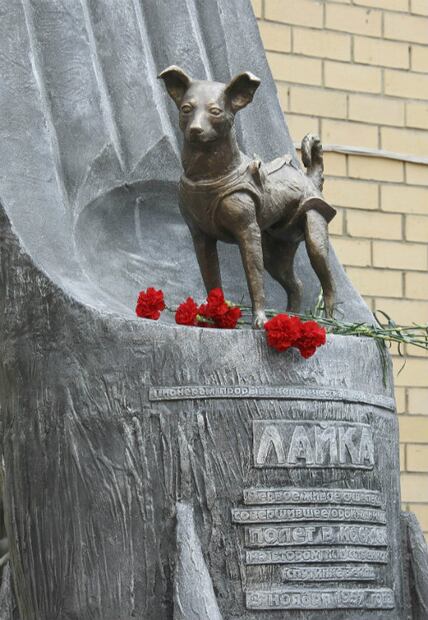 Laika, la terrible historia del primer perro cosmonauta 