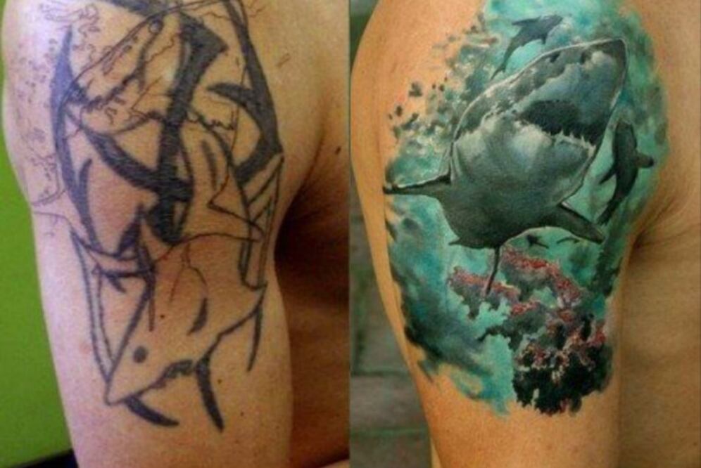 (Foto: Reddit @shaldaya)