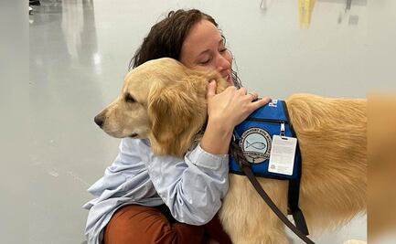“Comfort dogs”, los perros que te ayudan en momentos de crisis