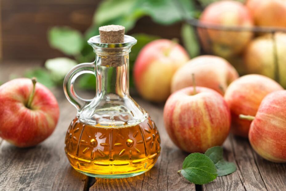 10 remedios naturales para tu perro que hay en casa y ni lo sabías