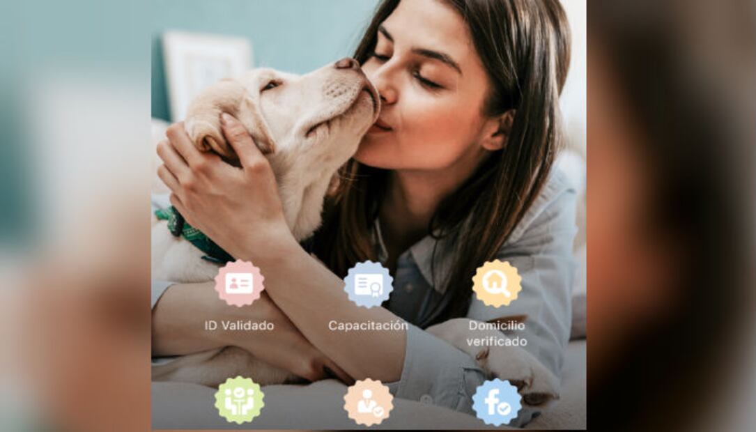 Host a Pet, la app para que tu mascota se sienta como en casa