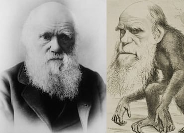 10 datos para entender quién era y qué aportó Charles Darwin