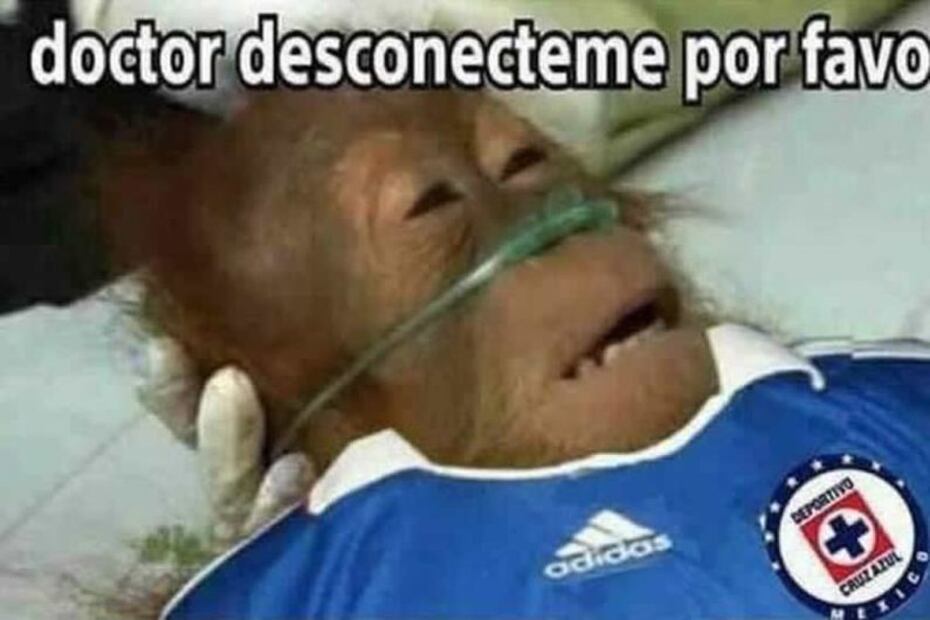 10 famosos que hicieron “el oso” en el 2020
