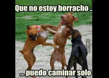 Los 10 mejores memes para festejar el #DíaDelBorracho