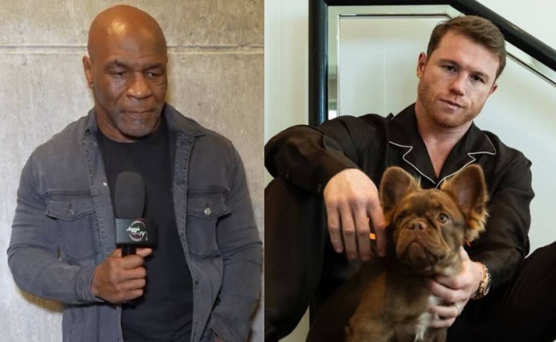 Tyson dijo que Saúl priva a los amantes del box en ver una gran pelea ante Benavidez. Foto: Especial.