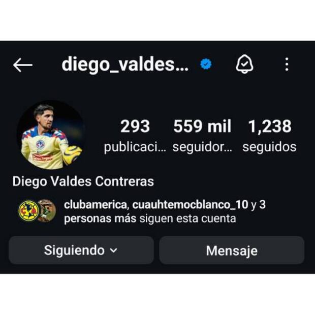 Diego Valdés quitó de su perfil de Instagram que es jugador del América. Foto: Especial