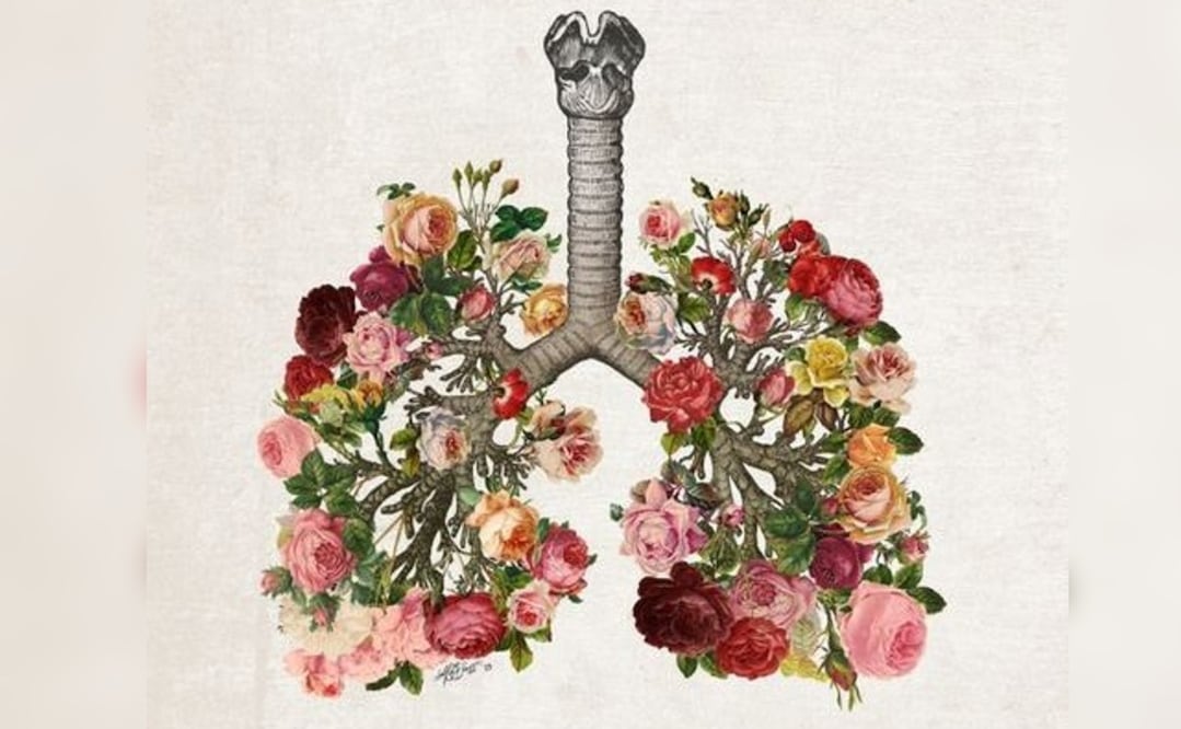 Foto: CCU Tlatelolco