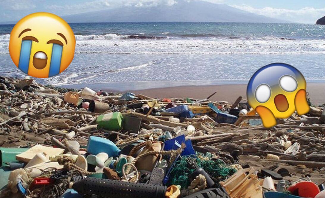 Foto: Instagram/ noaaocean