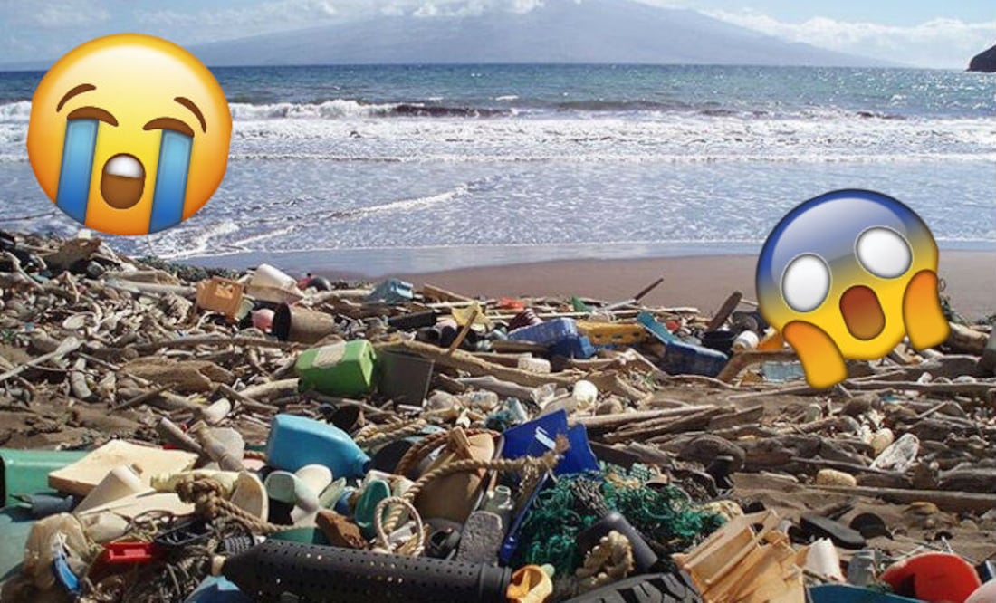 Foto: Instagram/ noaaocean