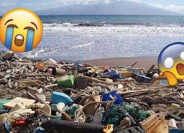 #DíaDeLosOcéanos 8 millones de toneladas de plástico terminan en el mar