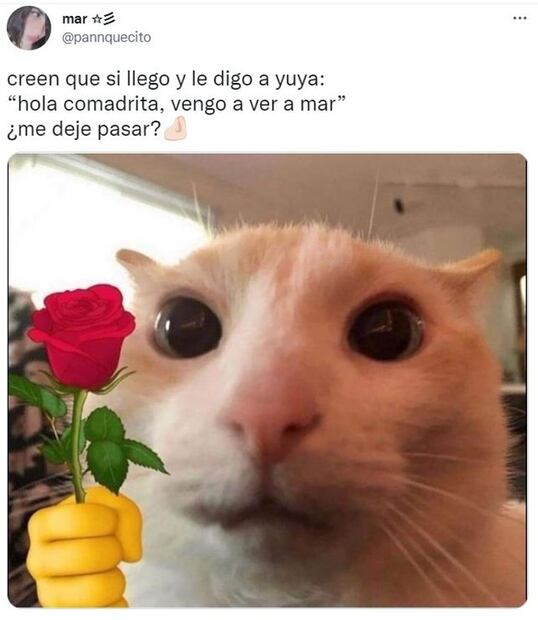 Nace el bebé de Yuya y Siddhartha y los memes se desatan en Internet
