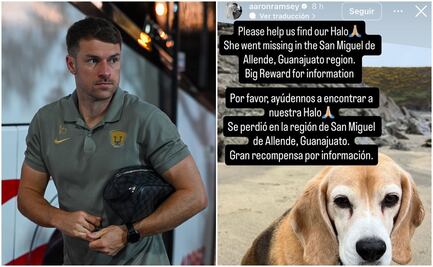 Aaron Ramsey pide ayuda en redes sociales para encontrar a su perrita; se perdió hace tres días