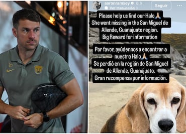 Aaron Ramsey pide ayuda en redes sociales para encontrar a su perrita; se perdió hace tres días