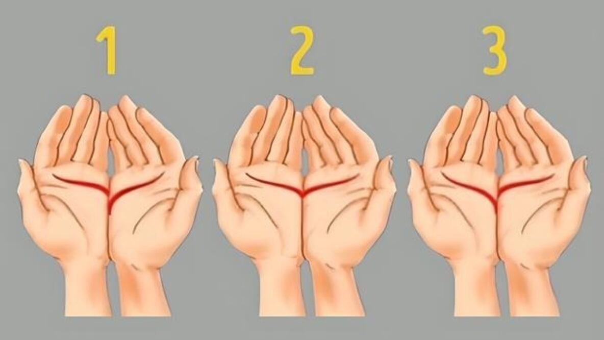 Líneas de la mano | Fuente: X @showmundialshow