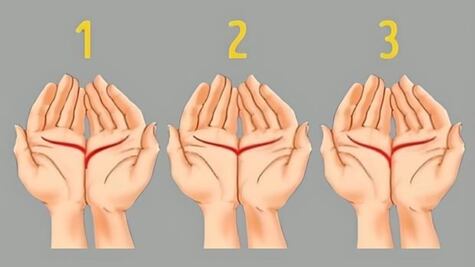 Dime cómo son las líneas de tu mano y te diré cómo es tu pareja ideal