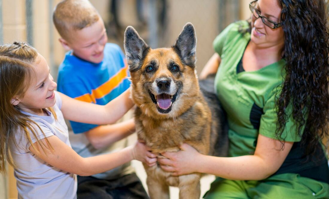 Foto: iStock