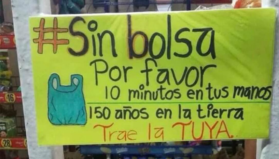 10 sencillos cambios en tu vida para ayudar al medio ambiente