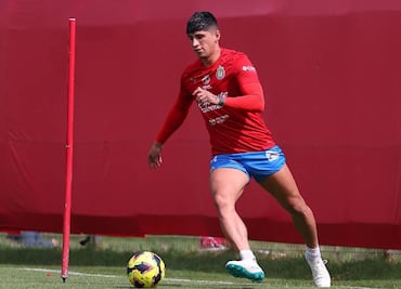 Alan Pulido lanzó una indirecta en redes sociales ¿Fue para Chicharito Hernández?