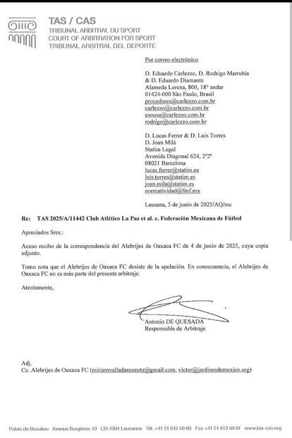 Comunicado del TAS, respecto a la situación de los Alebrijes de Oaxaca - Foto: Especial